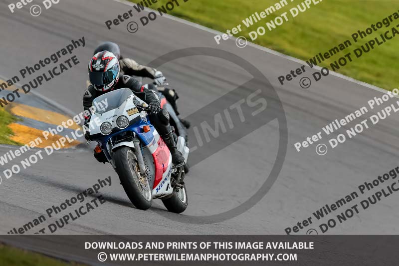 PJ Motorsport 2019;anglesey no limits trackday;anglesey photographs;anglesey trackday photographs;enduro digital images;event digital images;eventdigitalimages;no limits trackdays;peter wileman photography;racing digital images;trac mon;trackday digital images;trackday photos;ty croes